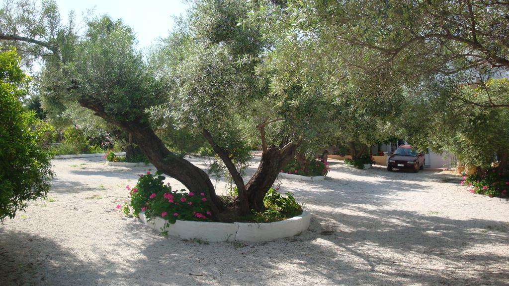 Calamon Apartments Episkopi-Chania Exterior photo