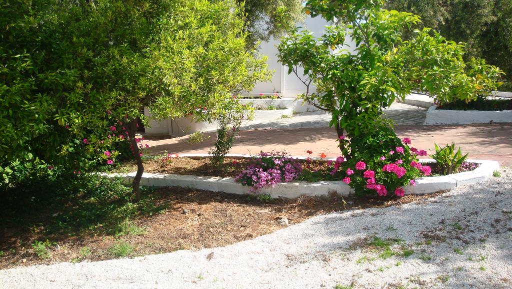 Calamon Apartments Episkopi-Chania Exterior photo
