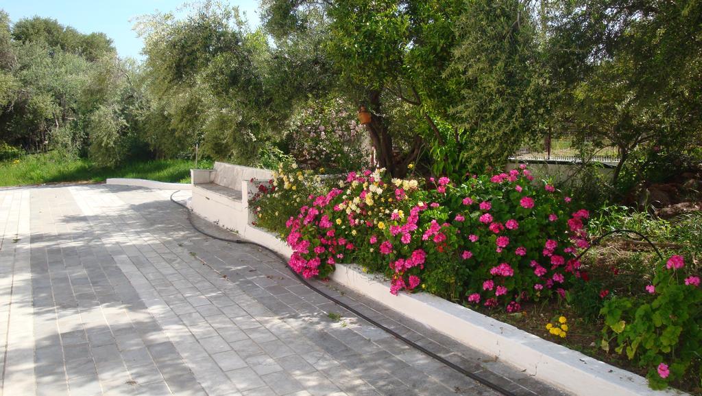 Calamon Apartments Episkopi-Chania Exterior photo