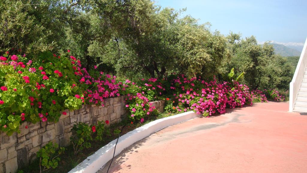 Calamon Apartments Episkopi-Chania Exterior photo